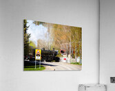 Scottish Highlands Steam Train                                                                                                                      Acrylic Print