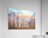 Pastel Desert  Acrylic Print