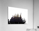 The Pine Tree and The Bird                                                                                                                      Acrylic Print