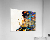 Abstract Lifes Reflections                                                                                                                      Acrylic Print