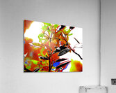 Abstract Florals                                                                                                                      Acrylic Print