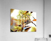    Abstract Vibrant Florals                                                                                                                   Acrylic Print