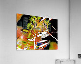 Abstract Darker Florals                                                                                                                      Acrylic Print