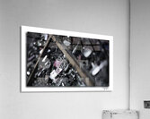 Protective Love  Acrylic Print
