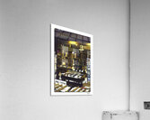 Bound Reverie  Acrylic Print