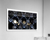 Protecting the Fragile  Acrylic Print