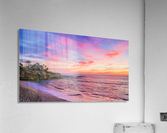 Miss La Jolla Acrylic Print