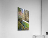 Beautiful…. Acrylic Print
