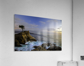 Forever Alone Acrylic Print