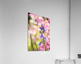 Spring Florals 1 Acrylic Print