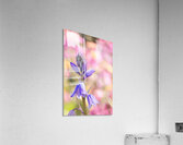 Spring Florals 4 Acrylic Print