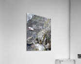 Distribution Acrylic Print