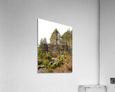  Scottish Highlands Wild Places                                                                                                                     Acrylic Print