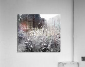 Scottish Highlands Wild Flowers                                                                                                                       Acrylic Print