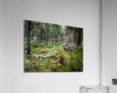  Home of the Wild Song in the Scottish Highlands                                                                                                                     Acrylic Print