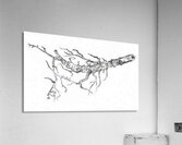 ArtX 48 branch Petre  Acrylic Print