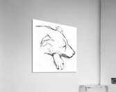 ArtX 49 dog Petre  Acrylic Print