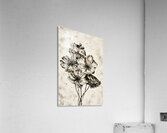 ArtX 543 flowers  Acrylic Print