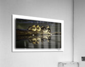 Sleepy Ducklings  Acrylic Print