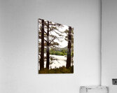 Loch Side View in the Scottish Highlands  Acrylic Print