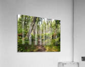 Springs Nature Waltz through the Scottish Highlands                                                                                                                       Acrylic Print