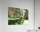 Scottish Highlands Summer Sunlight                                                                                                                      Acrylic Print