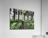 Natures Colourful Flow through the Scottish Highlands                                                                                                                      Acrylic Print