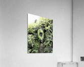 Natures Flow through the Scottish Highlands                                                                                                                      Acrylic Print