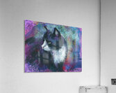 Tuxedo cat soft pastels painting  Acrylic Print