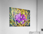 FLORAL RAIN_Holt_REZN888  Acrylic Print