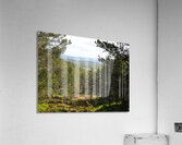  Scottish Highlands Landscape View                                                                                                                     Acrylic Print
