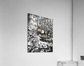 Monochrome Path in the Scottish Highlands                                                                                                                      Acrylic Print