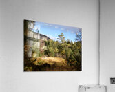 Scottish Highlands Forest View Acrylic Print