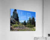 IMG 7790 Acrylic Print