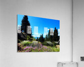 IMG 2604 Acrylic Print