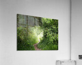 Scottish Highlands Spring Trail                                                                                                                      Acrylic Print