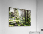  Scottish Highlands Nature Trail                                                                                                                     Acrylic Print