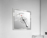 014 009 Acrylic Print