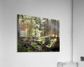 Scottish Highlands Sunlit Stream Acrylic Print