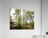 Fairies Spring in the Scottish Highlands  Acrylic Print