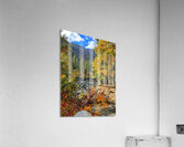 IMG 0350 Acrylic Print