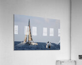 IMG 3371 Acrylic Print