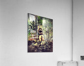 IMG 1135 Acrylic Print
