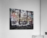 Pines in Monochrome Acrylic Print