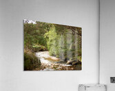 Scottish Highlands Stream Acrylic Print