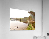 Scottish Highlands Summer Lochside Acrylic Print