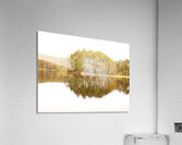Scottish Highlands Forest Reflection  Acrylic Print