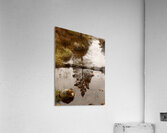 Scottish Highlands Pines Reflections Acrylic Print