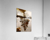 Wild Pine Reflection Acrylic Print