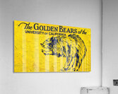 1930s Cal Golden Bear Art Acrylic Print